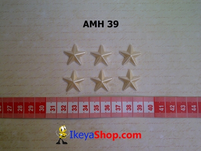 AMH 39  large2